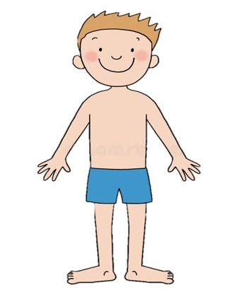 Shiv Kids Education - Human Body Parts