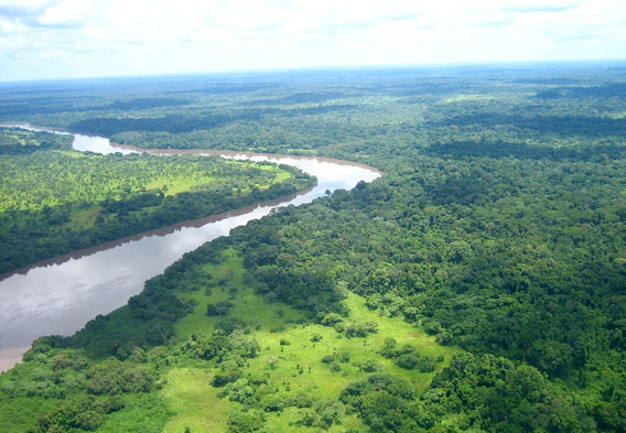 congo-river-Top 10 longest rivers in the world in 2020